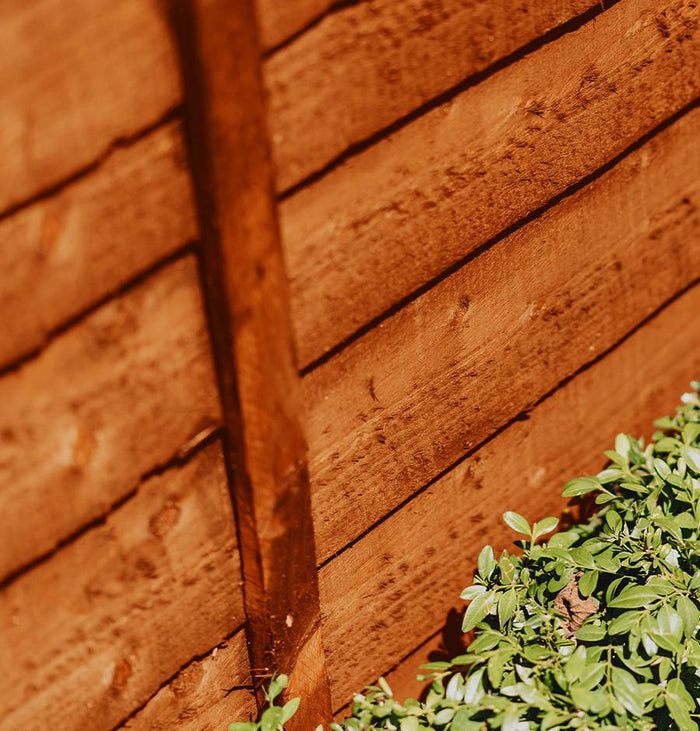 Wood-Protector_Red_Cedar_Fence.jpg